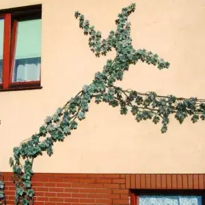 dekoracja-01
